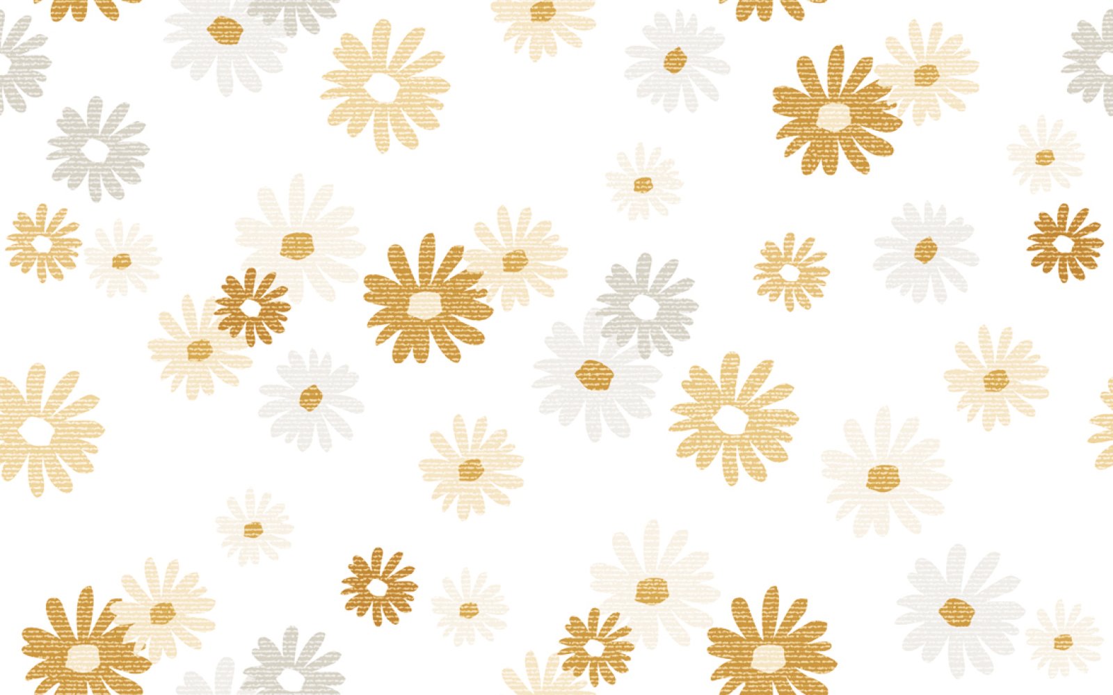 PLATINUM 25X40 HAYDEN ORANGE DECOR (DIS)